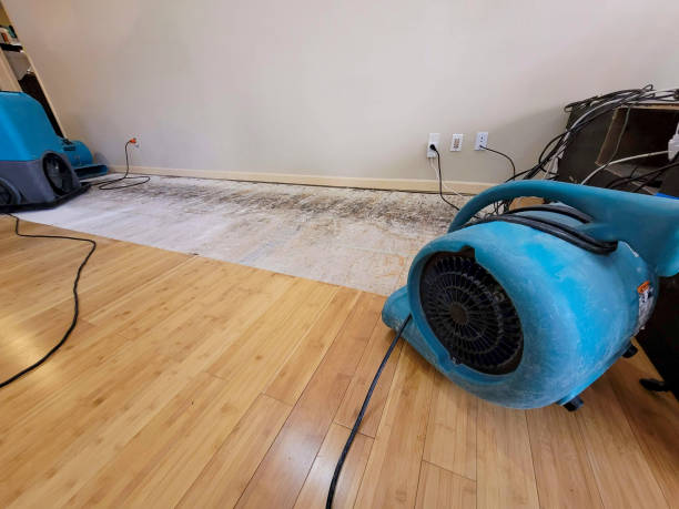 Professional Water Extraction technician working in Imlay City, MI
